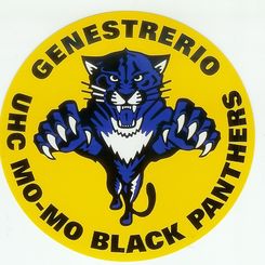 La società Mo-Mo Black Panthers
